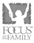 Focus-family